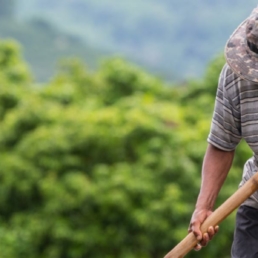 turismo-rural-alternativo-sostenible-UDLAP