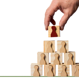 liderazgo Disruptivo