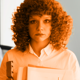 DEI GESTIÓN CONEXIÓN UDLAP